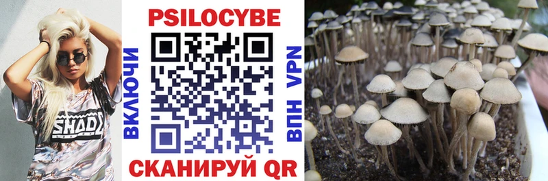Псилоцибиновые грибы MAGIC MUSHROOMS  даркнет сайт  Истра 